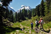 Valle e ghiacciaio del Forno dal Passo del Maloja (Svizzera) il 23 giugno 2016 - FOTOGALLERY